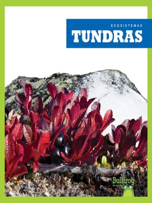 cover image of Tundras (Tundras)